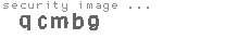 security image