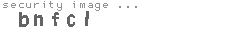 security image