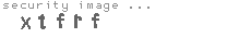 security image