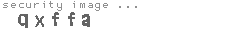 security image