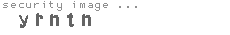security image