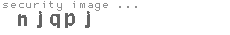 security image