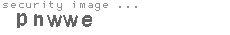 security image