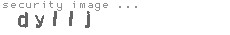 security image