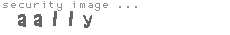 security image