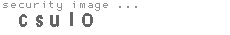 security image