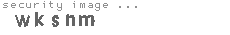 security image