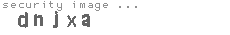 security image