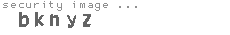 security image