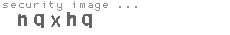 security image