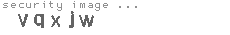 security image