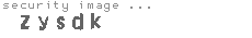 security image
