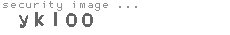 security image