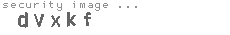 security image