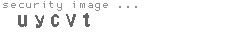 security image
