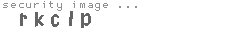 security image