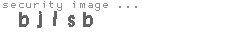 security image