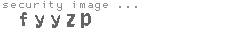 security image