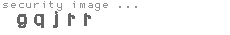 security image