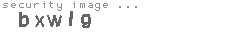 security image