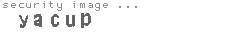 security image