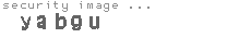 security image