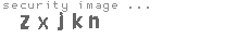 security image