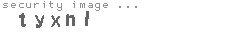 security image