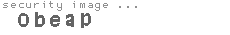 security image