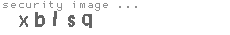 security image
