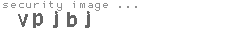 security image
