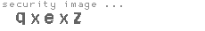 security image