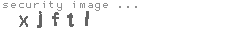 security image