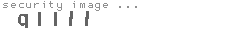 security image