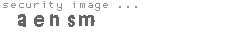 security image