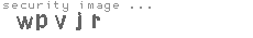 security image