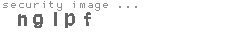 security image