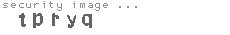 security image