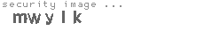 security image