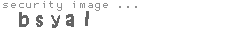 security image