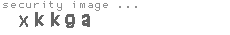 security image