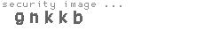 security image