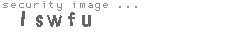 security image