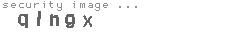 security image