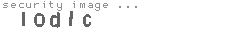 security image