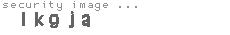 security image