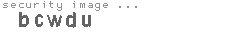 security image