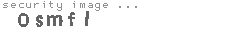 security image