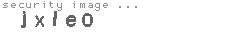 security image