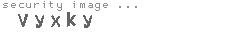 security image
